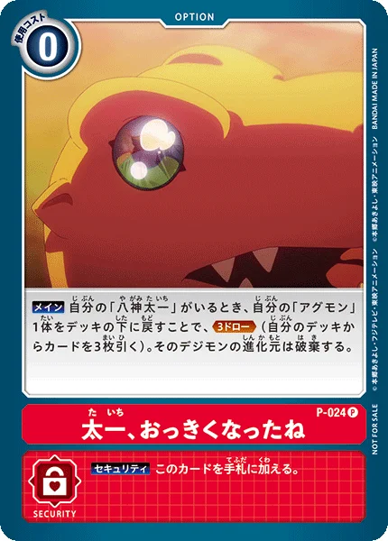 P-024