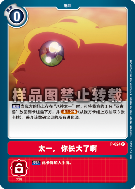 P-024