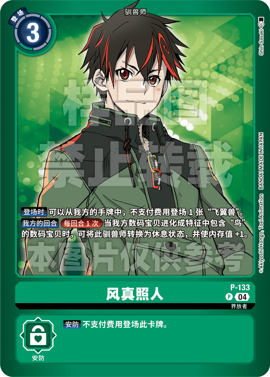 P-133_LM07
