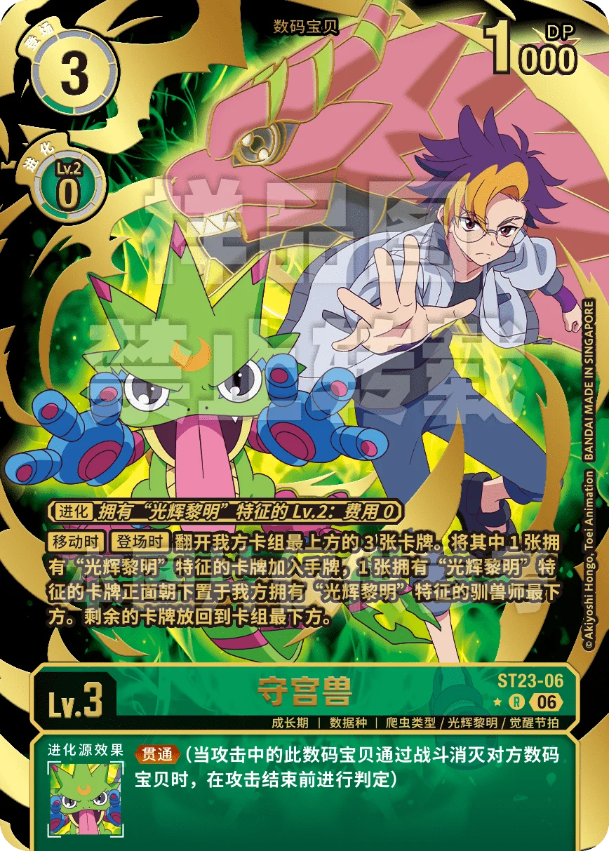 ST23-06_P