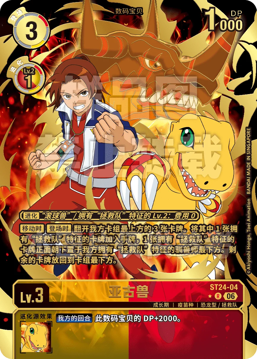 ST24-04_P